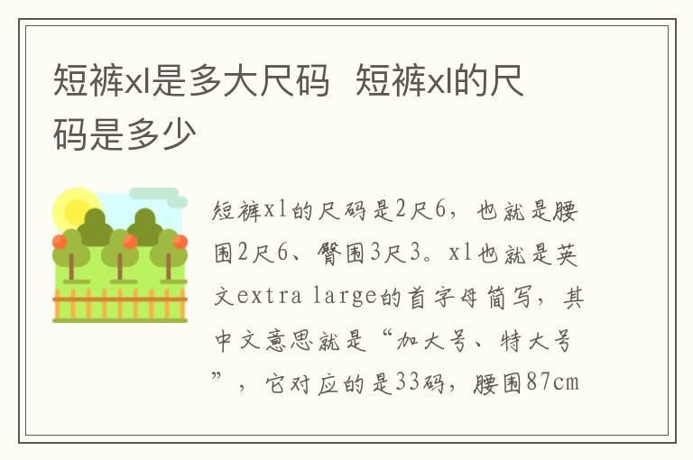 短裤xl是多大尺码  短裤xl的尺码是多少