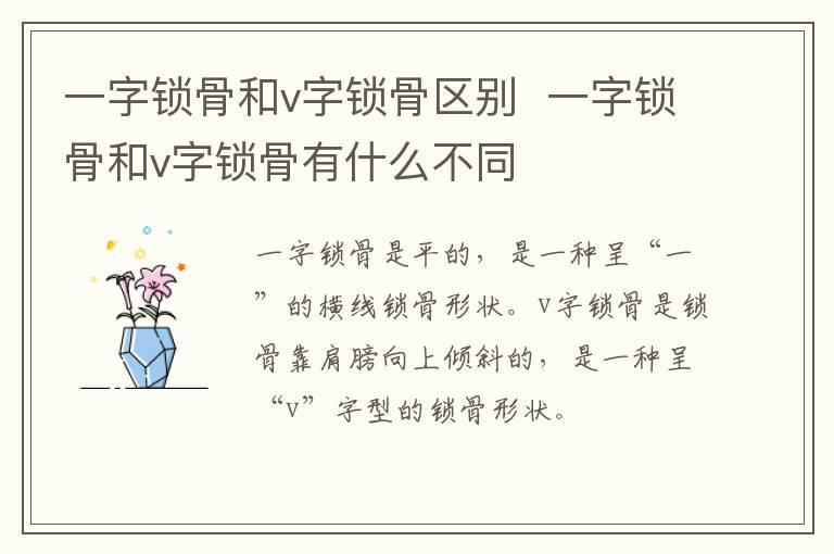一字锁骨和v字锁骨区别 一字锁骨和v字锁骨有什么不同