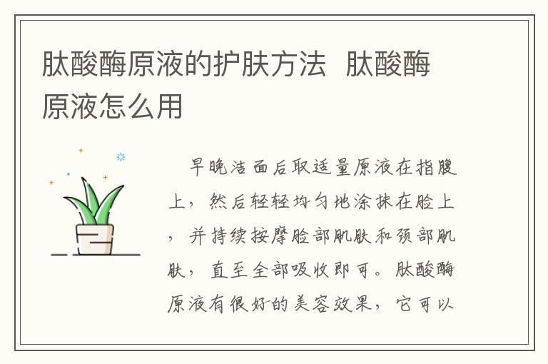 肽酸酶原液的护肤方法 肽酸酶原液怎么用