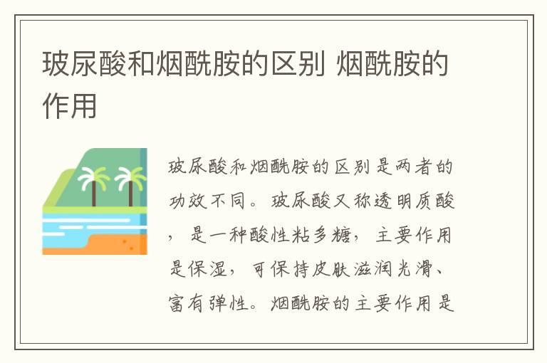 玻尿酸和烟酰胺的区别 烟酰胺的作用