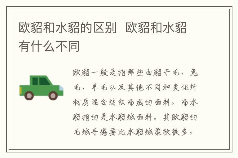 欧貂和水貂的区别 欧貂和水貂有什么不同