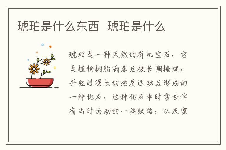 琥珀是什么东西 琥珀是什么