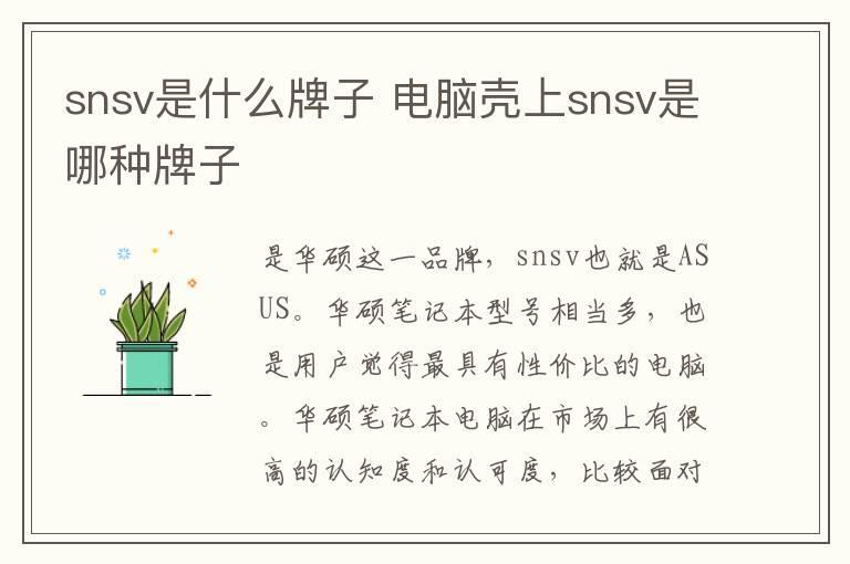 snsv是什么牌子 电脑壳上snsv是哪种牌子