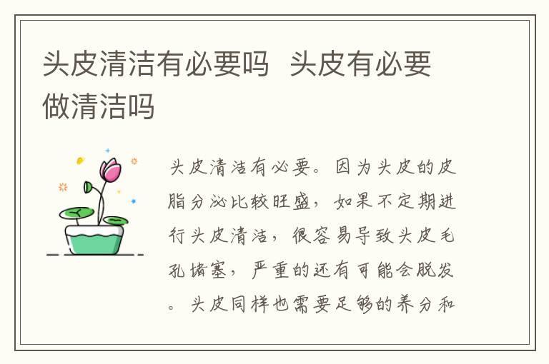 头皮清洁有必要吗 头皮有必要做清洁吗