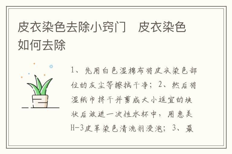 皮衣染色去除小窍门 皮衣染色如何去除