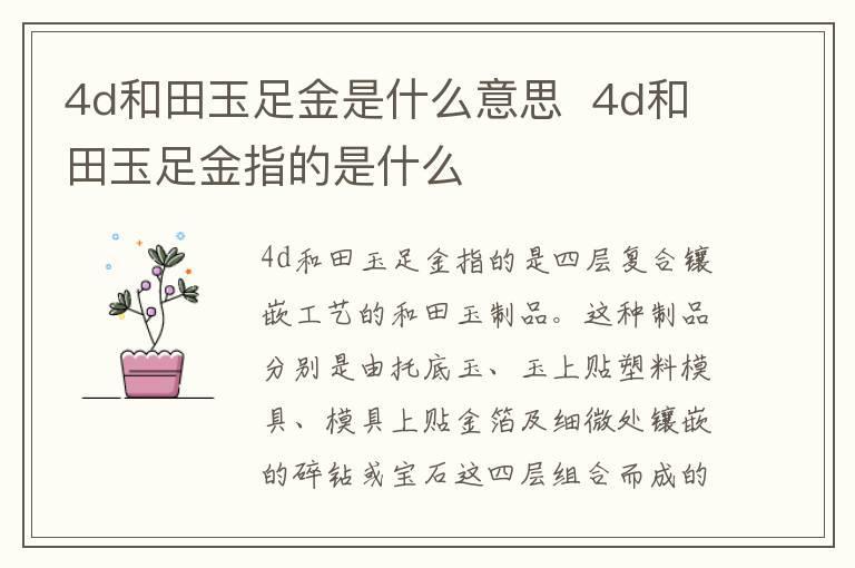 4d和田玉足金是什么意思 4d和田玉足金指的是什么
