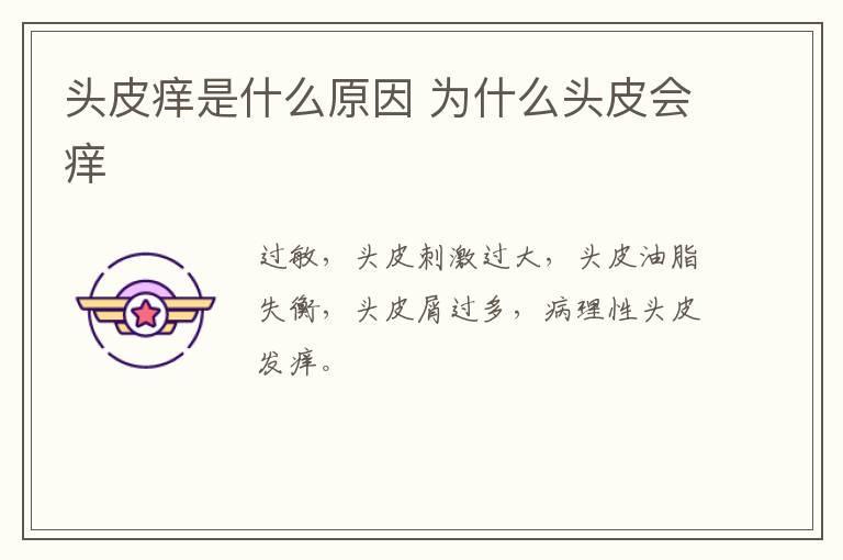 头皮痒是什么原因 为什么头皮会痒