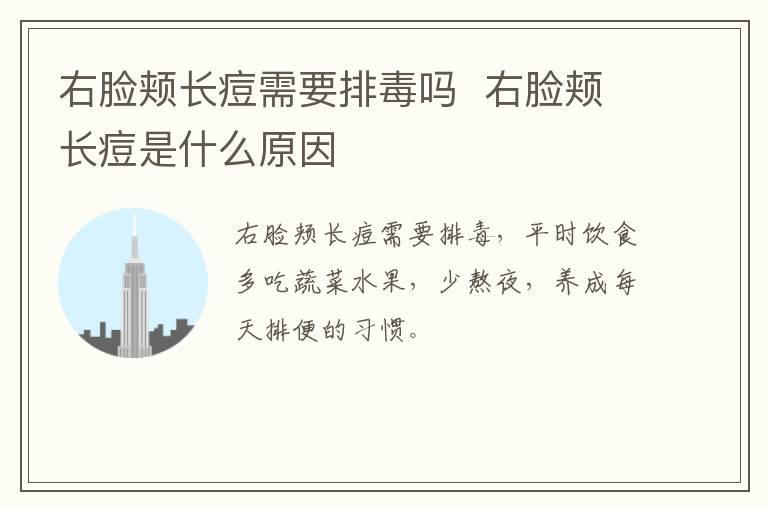右脸颊长痘需要排毒吗  右脸颊长痘是什么原因