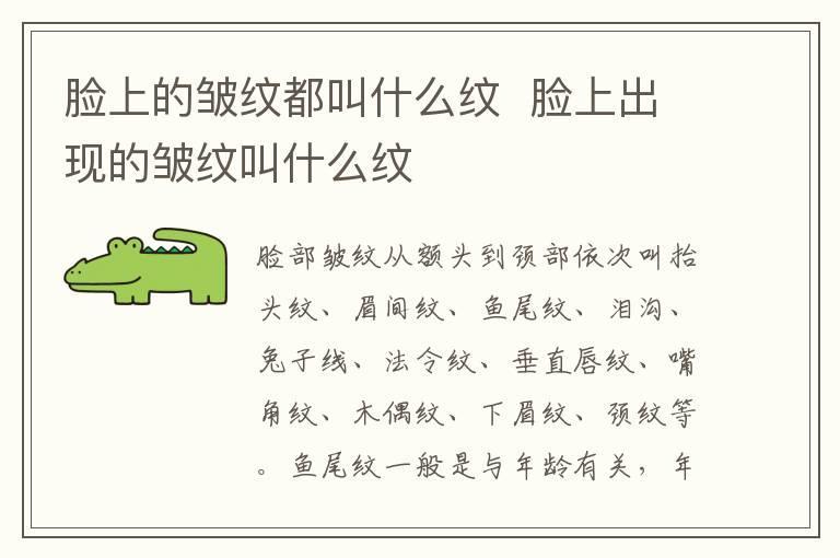 脸上的皱纹都叫什么纹 脸上出现的皱纹叫什么纹
