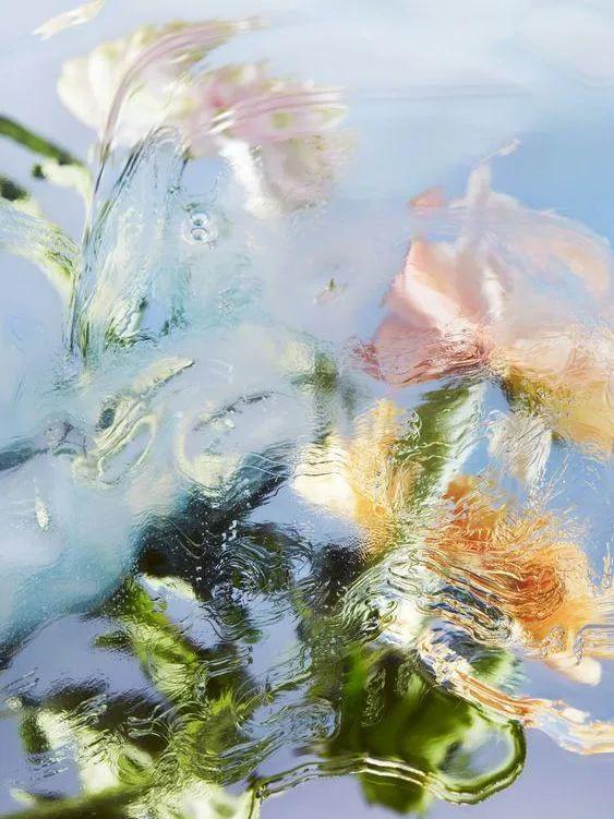 护肤品里的"花瓣"添加物是智商税吗?