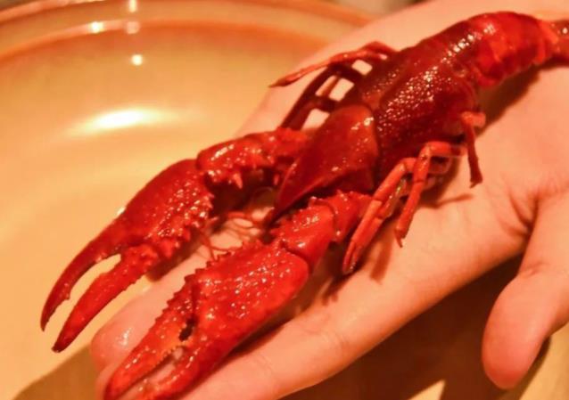 女性怀孕早期可以吃小龙虾吗?