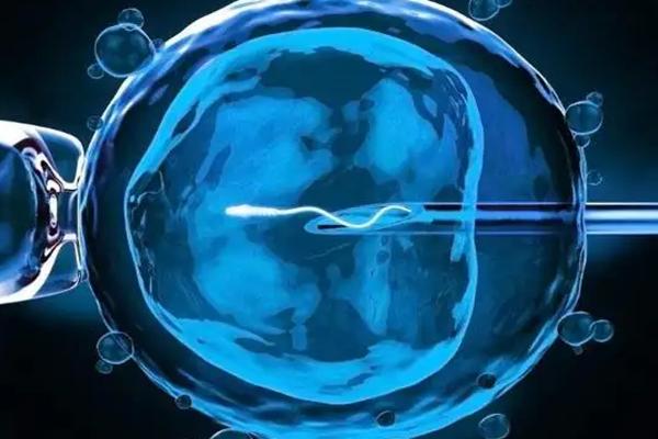 三代试管囊胚活检，需要多长时间才能出结果？