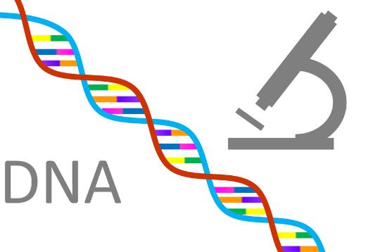 2023去石家庄精子库捐精子,需要符合什么要求?