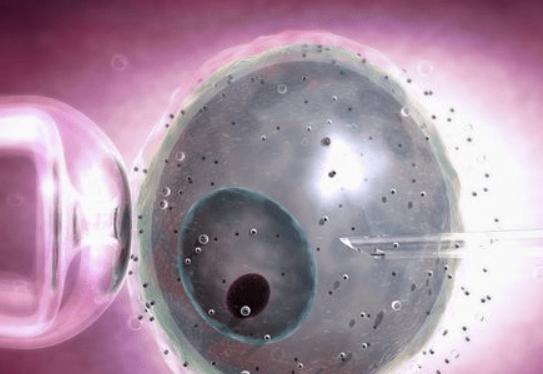 胚胎染色体异常，可以通过什么方法备孕？