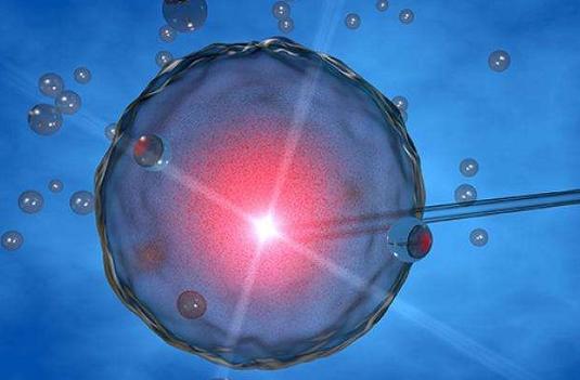 深圳市妇幼做试管首选哪位医生？