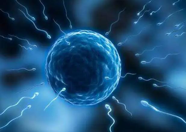 移植冻胚第六天可以测出来了吗?