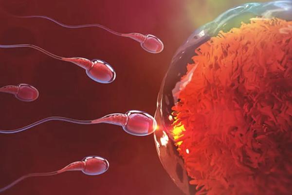 在原平有能做供卵试管助孕的医院吗,有做过的姐妹分享下经验吗?