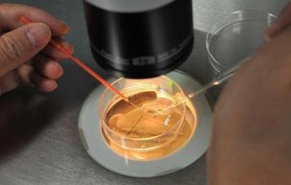 2022年去厦门做试管婴儿医院该如何选择呢？