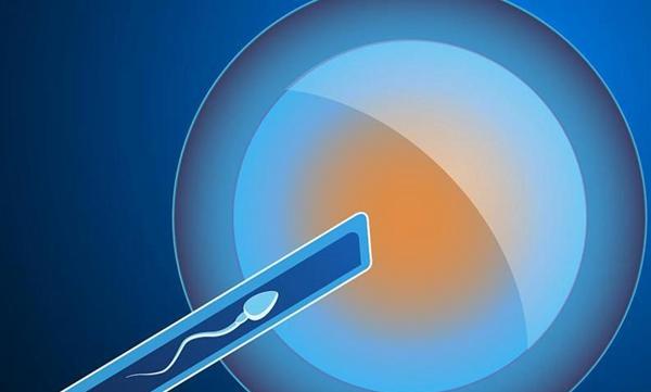 在钦州做供精人工授精要多少钱？