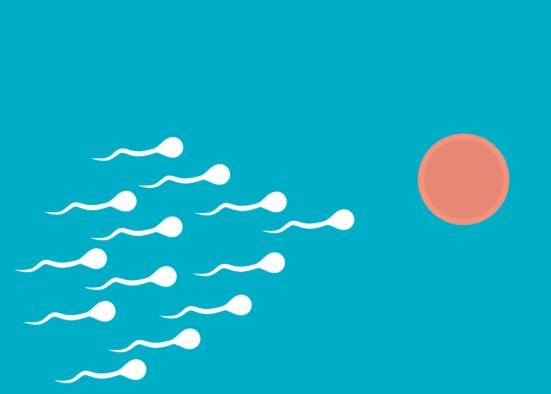 北京私立医院做三代试管婴儿可以包成功吗？