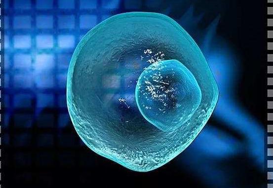 在衢州私人机构做供卵试管，10万包成功是真的吗？