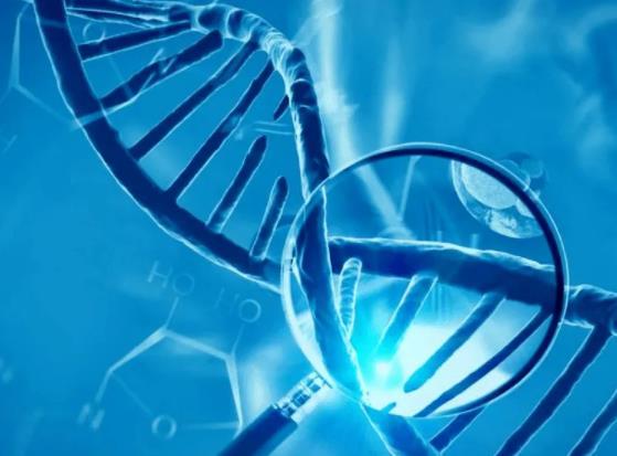 太原中山生殖医院的服务和技术靠谱吗？