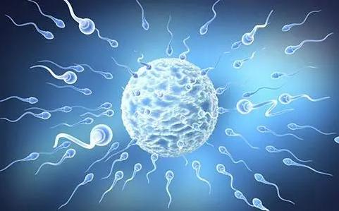 一代试管能用冷冻精子吗，有什么影响？