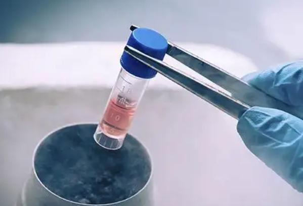 郑州做三代试管，生一对双胞胎费用是多少？