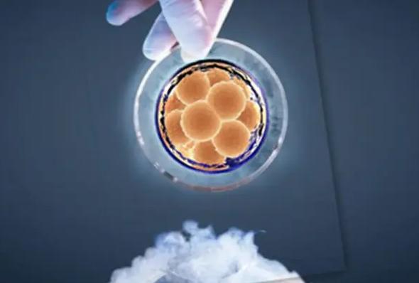 43岁高龄做三代试管婴儿进行筛查胚胎，还会出现胎儿畸形吗