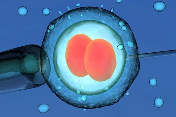 2023年在国内私立医院,做三代供卵试管违法吗?