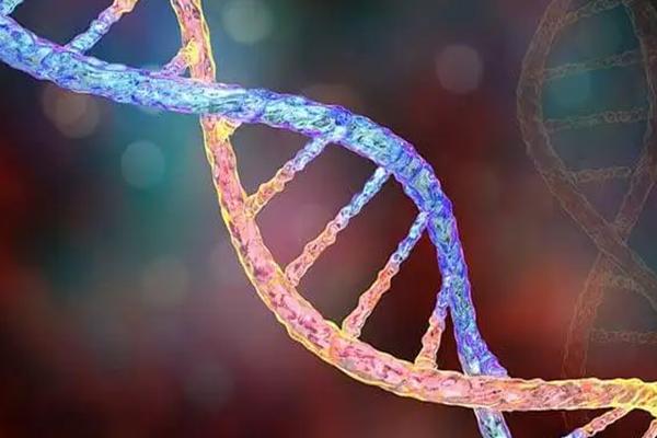 2022年美国加州生殖中心,综合实力排名最好的医院是哪家?