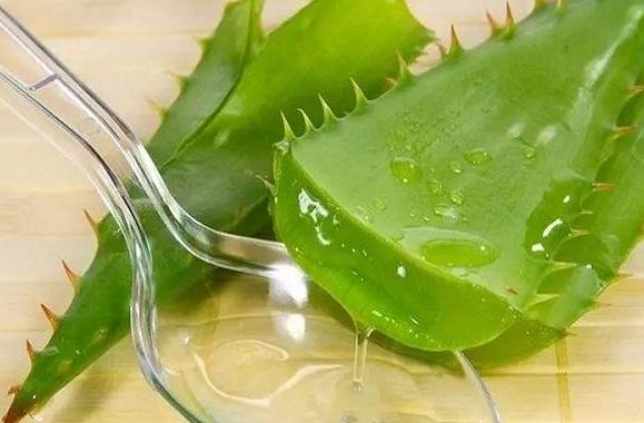 孕妇可以将芦荟直接涂在脸上吗？
