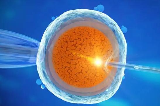 试管婴儿移植应该选择鲜胚好，还是冻胚好？