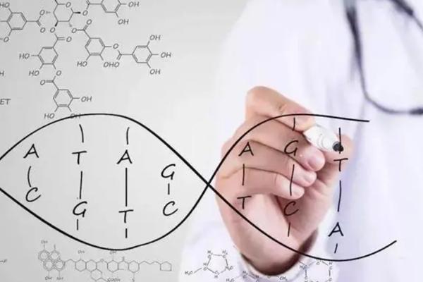 2023年上海哪家医院做供卵试管能包生男孩？哪家成功率最高？