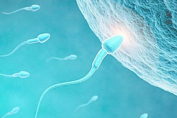 2023广州排名前五的生殖中心医院有哪些？哪家成功率最高？