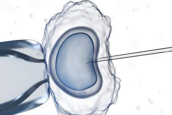 夫妻双方在做三代试管助孕之前，要检查地中海贫血基因吗？