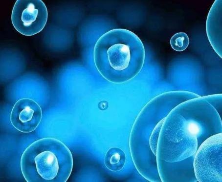 男同性恋可以通过什么方法生孩子？