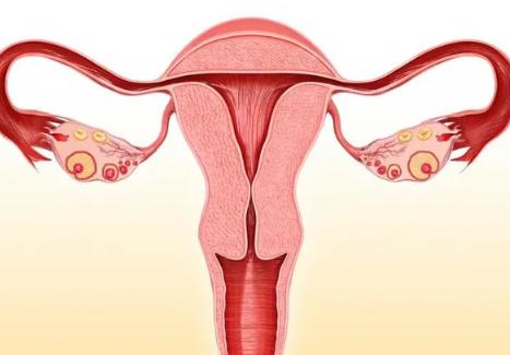 2023合肥有没有支持供卵技术的试管医院，有人能介绍一下吗？