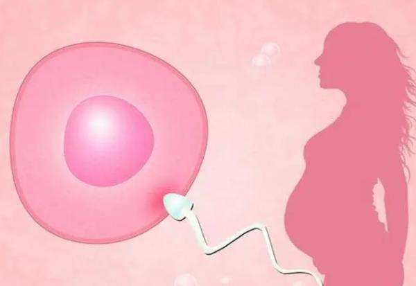 深圳试管选龙凤胎多少钱，那选择生男孩的费用又是多少呢？