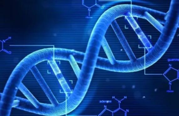 无精症在国内申供精试管婴儿,是否需要排队?