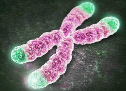 女性患染色体易位做试管婴儿的成功率高吗？