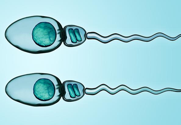 贵州不孕不育医院选择哪家，求推荐？