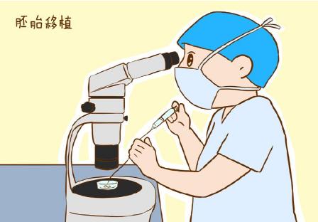 29岁的女性做鲜胚移植的成功率高吗？