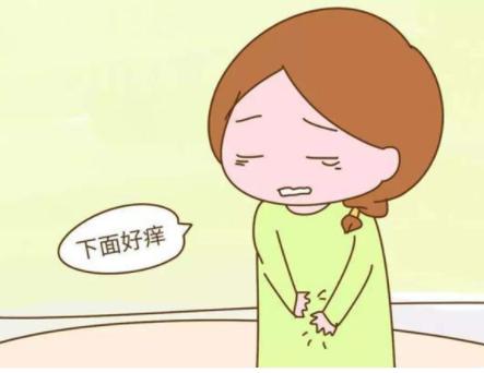 外阴瘙痒白带增多是什么原因？