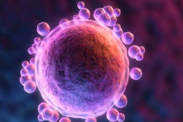 2022年在南京，能做供卵助孕的机构有哪些医院