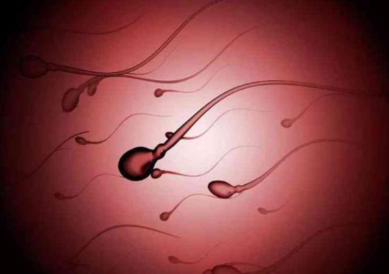 抗精子抗体阳性，需要做试管才能怀孕吗？