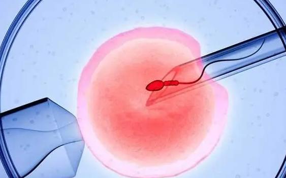 试管移植多次着床失败，和染色体有关系吗？