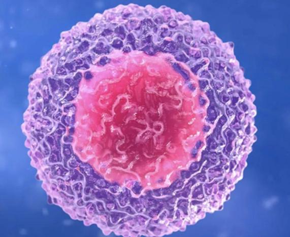 三级胚胎一定能养成优质囊胚吗？