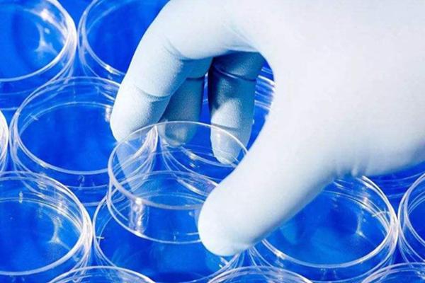 45岁在廊坊做借卵试管,成功率高的医院有哪些?