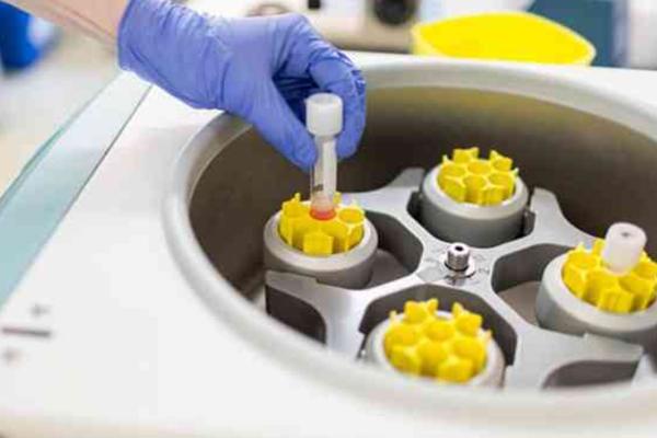 单亲妈妈叶海洋，是在美国哪家医院买的精子？